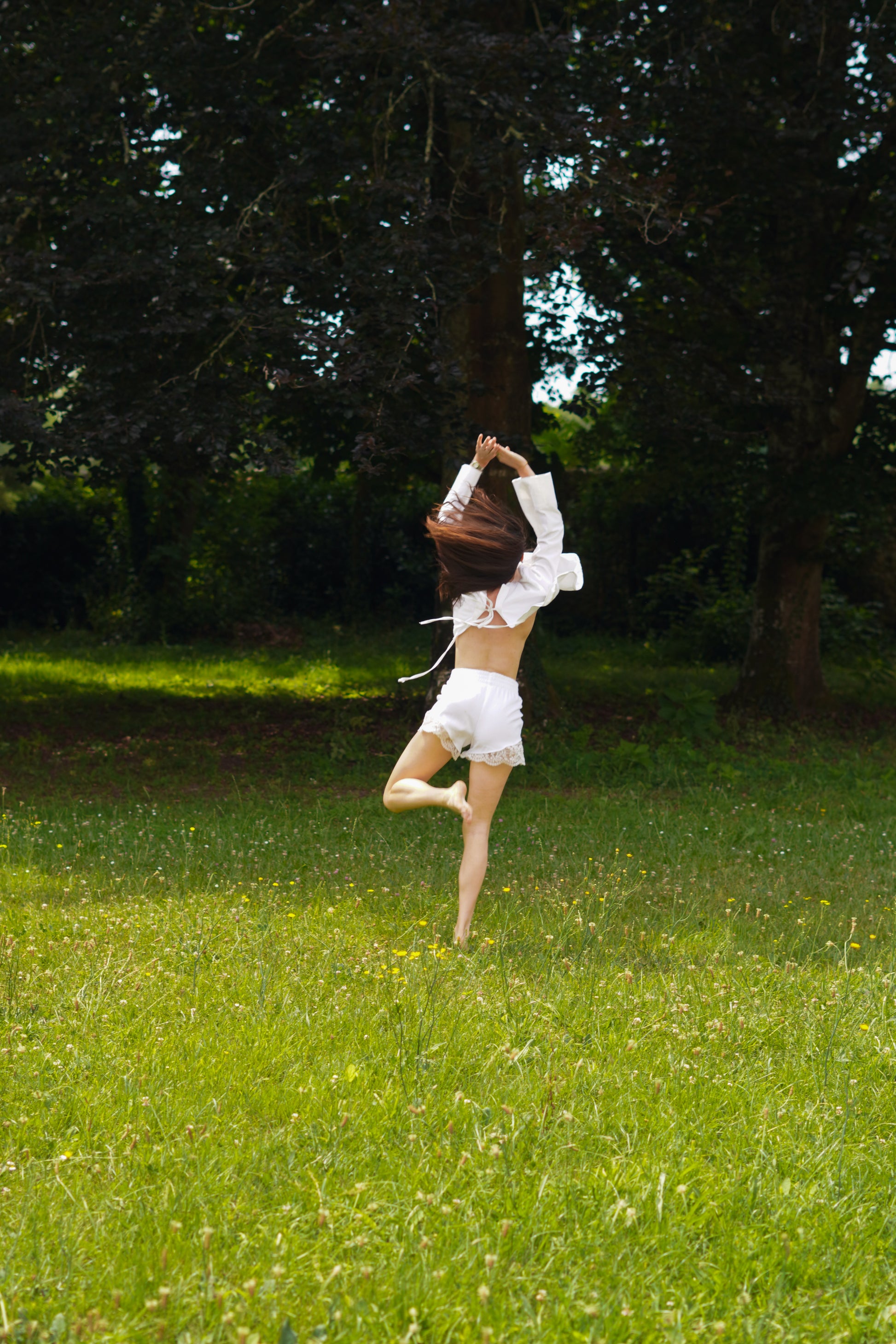 Haut IRIS
